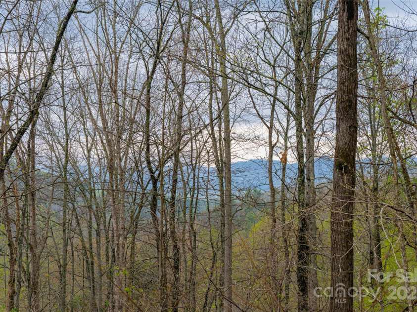 75 Sugar Hill Drive, Weaverville, NC 28787.  MLS# CAR4240895, YatesRealty ID 8708. 