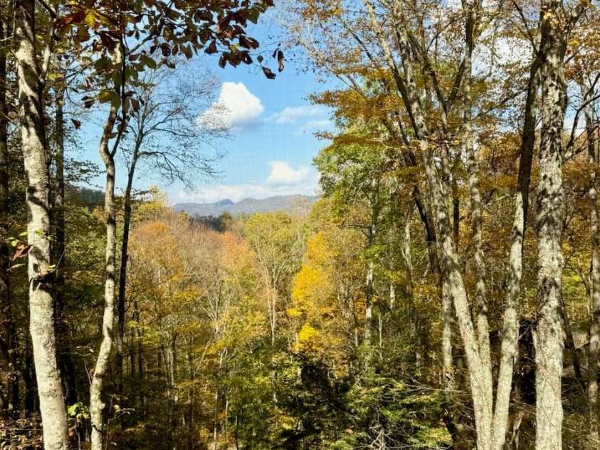 126 Mossycup Court, Tuckasegee, NC 28783.  MLS# CAR4324867, YatesRealty ID 874. 