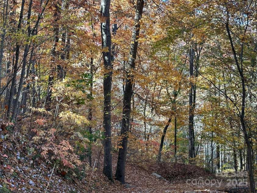 126 Mossycup Court, Tuckasegee, NC 28783.  MLS# CAR4324867, YatesRealty ID 874. 