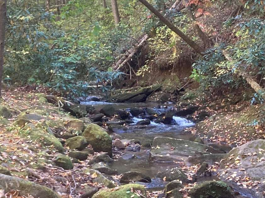 126 Mossycup Court, Tuckasegee, NC 28783.  MLS# CAR4324867, YatesRealty ID 874. Bear Creek - Native Trout