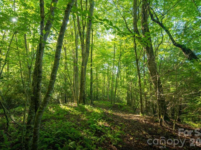 TBD Boulder Creek Drive, Boone, NC 28607.  MLS# CAR4294530, YatesRealty ID 880. 