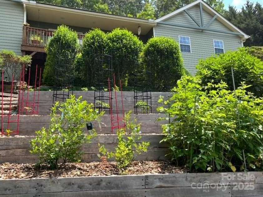 21 Kahluas Way, Fairview, NC 28730.  MLS# CAR4265325, YatesRealty ID 8858. Dream South Facing Terraced Gardens with Blackberries, Raspberries, and Plenty of Room to Grow Veggies and Flowers.