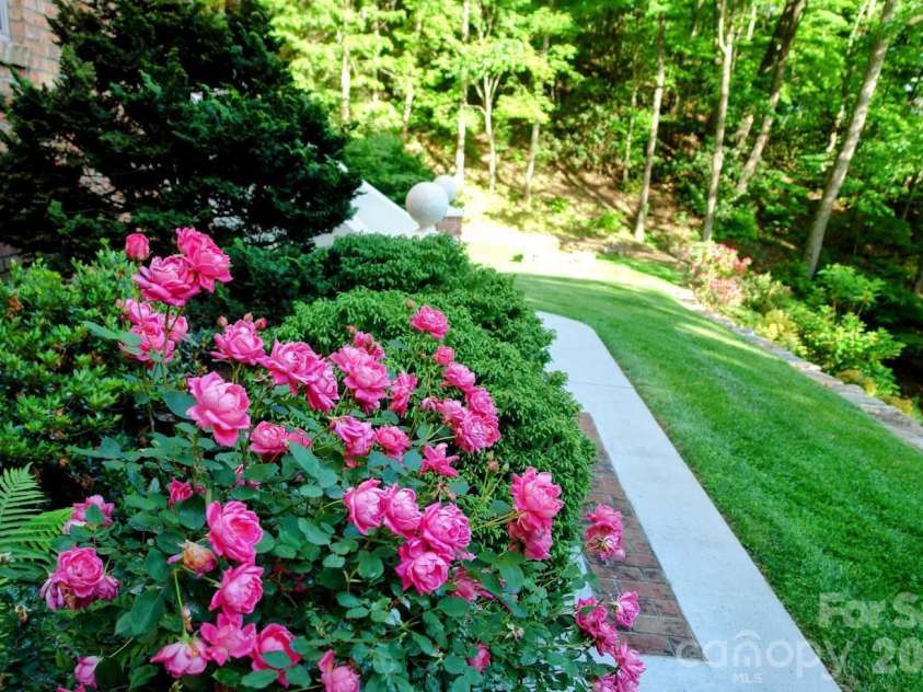 295 Laurel Ridge Drive, Waynesville, NC 28786.  MLS# CAR4312458, YatesRealty ID 8868. Perennials