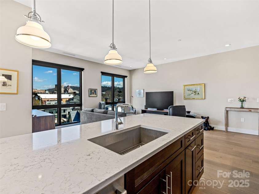145 Biltmore Avenue, Asheville, NC 28801.  MLS# CAR4250297, YatesRealty ID 8878. Open Living design
