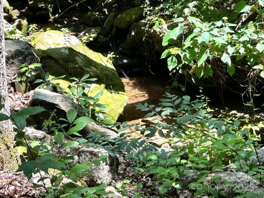 184 Poplar Drive, Lake Lure, NC 28746.  MLS# CAR4285241, YatesRealty ID 888. 