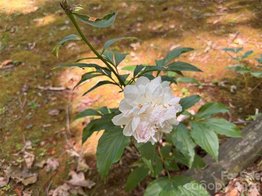 121 Shady Lane, Troutman, NC 28166.  MLS# CAR4352334, YatesRealty ID 8895. 