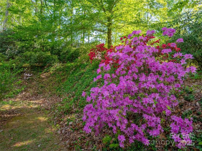 1240 Blanton Street, Columbus, NC 28722.  MLS# CAR4250833, YatesRealty ID 8929. 