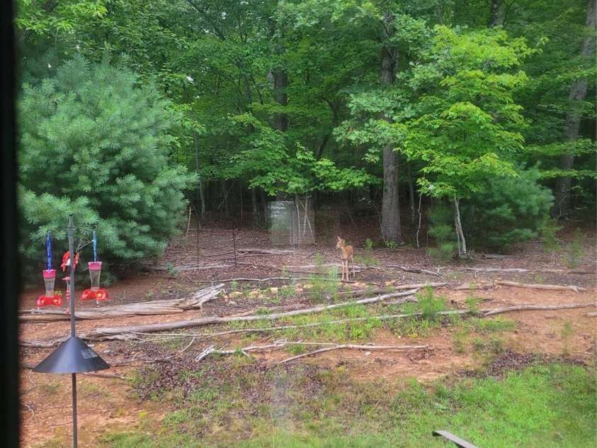 160 Winsome Forest Drive, Nebo, NC 28761.  MLS# CAR4360484, YatesRealty ID 9012. 2025
