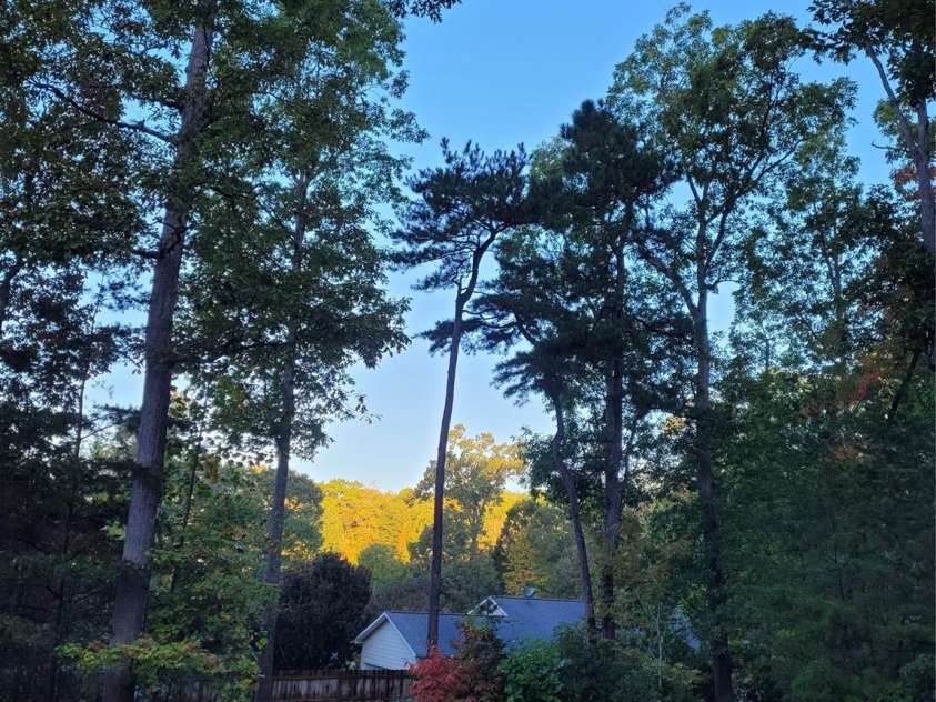 160 Winsome Forest Drive, Nebo, NC 28761.  MLS# CAR4360484, YatesRealty ID 9012. 2025