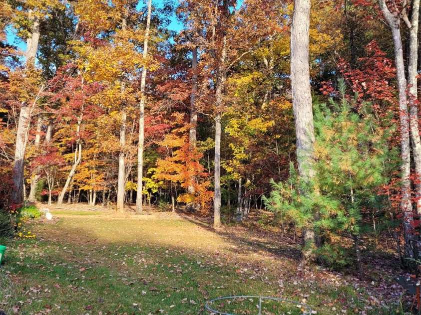 160 Winsome Forest Drive, Nebo, NC 28761.  MLS# CAR4360484, YatesRealty ID 9012. 2025