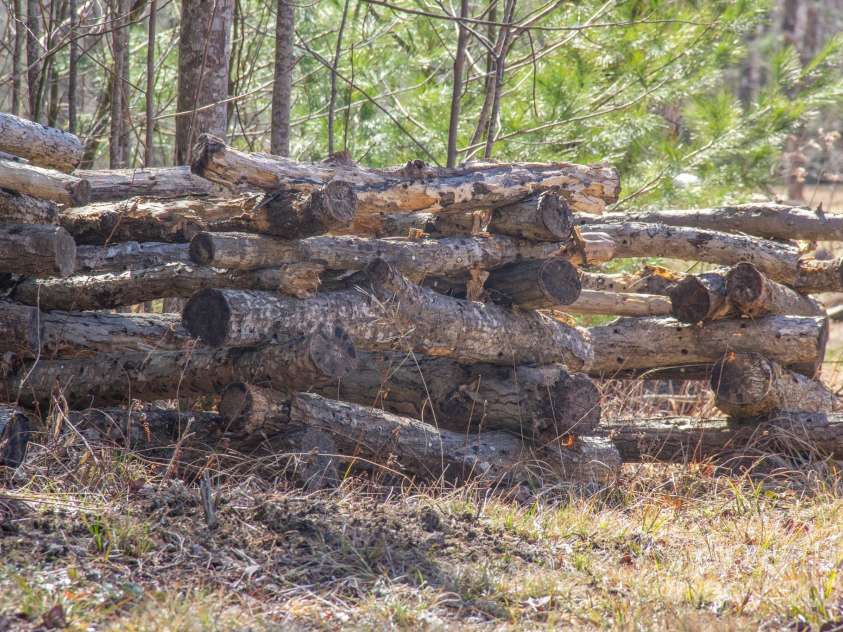 146 Green Briar Lane, Green Mountain, NC 28740.  MLS# CAR4287422, YatesRealty ID 9017. Mushroom Logs