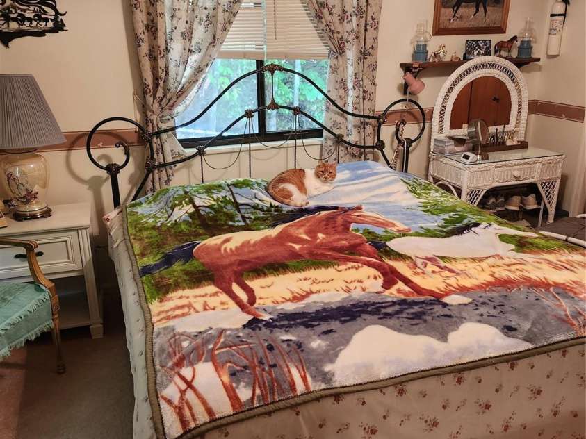 108 Easy Street, Cedar Mountain, NC 28718.  MLS# CAR4184345, YatesRealty ID 9048. 