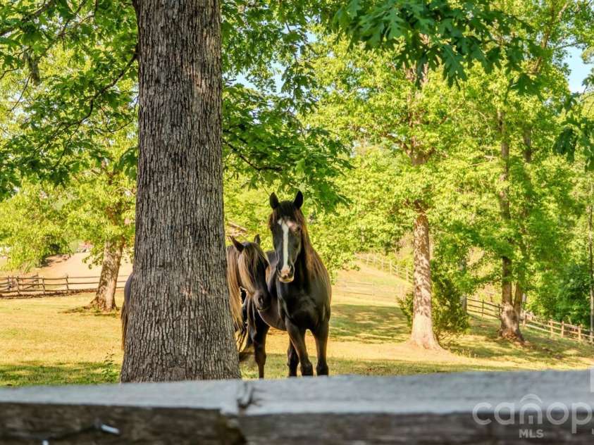 777 River Road, Tryon, NC 28782.  MLS# CAR4377505, YatesRealty ID 9066. 