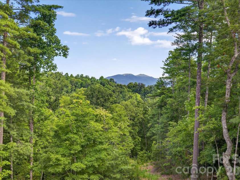 217 Sycamore Drive, Nebo, NC 28761.  MLS# CAR4364712, YatesRealty ID 9148. View from Backyard