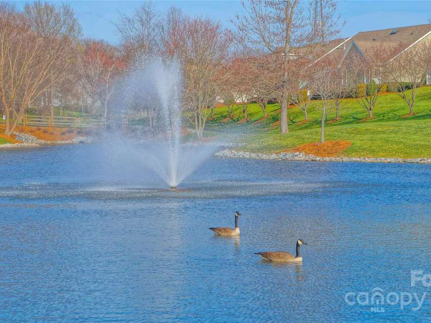 115 Keswick Lane, Mooresville, NC 28117.  MLS# CAR4245086, YatesRealty ID 9299. Tranquil Beauty! This lifestyle could be yours!