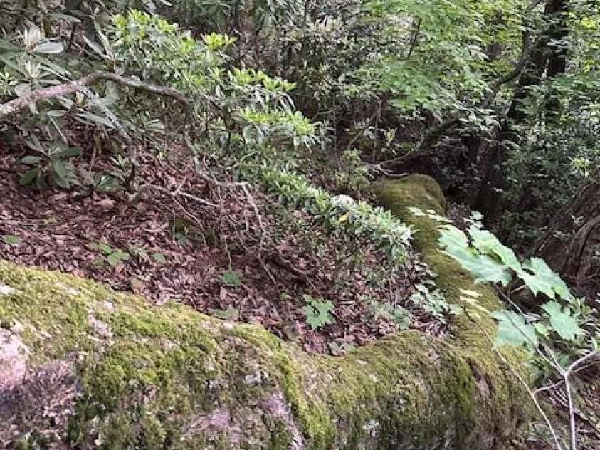 167 Simmons Ridge Road, Spruce Pine, NC 28777.  MLS# CAR4287877, YatesRealty ID 9308. 