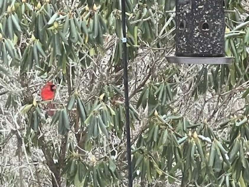 167 Simmons Ridge Road, Spruce Pine, NC 28777.  MLS# CAR4287877, YatesRealty ID 9308. 