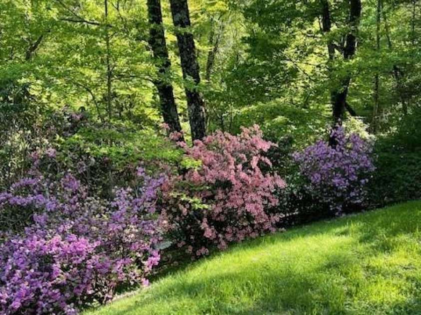 167 Simmons Ridge Road, Spruce Pine, NC 28777.  MLS# CAR4287877, YatesRealty ID 9308. 