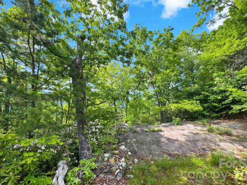 42 Parkway Drive, Marion, NC 28752.  MLS# CAR4260169, YatesRealty ID 9320. Backyard!
