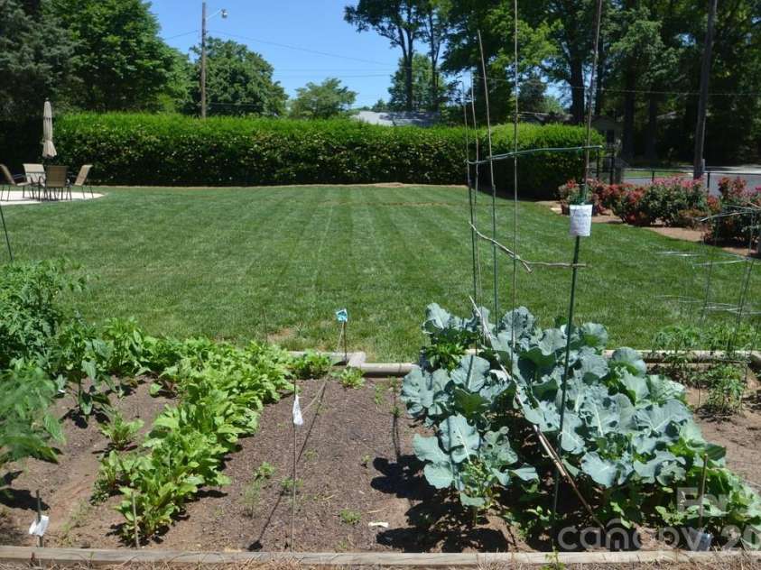1300 Reece Road, Charlotte, NC 28209.  MLS# CAR4322239, YatesRealty ID 9326. Community garden