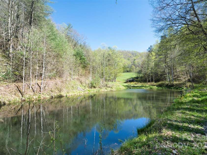 2180 Pigeon Roost Road, Green Mountain, NC 28740.  MLS# CAR4137054, YatesRealty ID 9333. Another view of the large spring-fed pond -- so clean and cold!