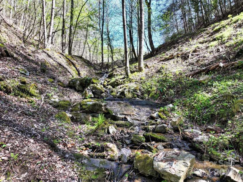 2180 Pigeon Roost Road, Green Mountain, NC 28740.  MLS# CAR4137054, YatesRealty ID 9333. Outflow from the spring-fed pond
