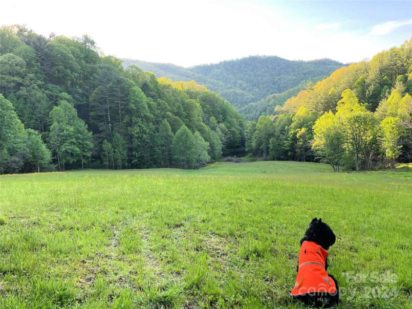 2180 Pigeon Roost Road, Green Mountain, NC 28740.  MLS# CAR4137054, YatesRealty ID 9333. Serenity