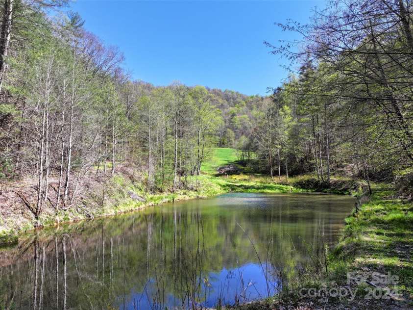 2180 Pigeon Roost Road, Green Mountain, NC 28740.  MLS# CAR4137054, YatesRealty ID 9333. Spring-fed pond looking up to hidden meadow