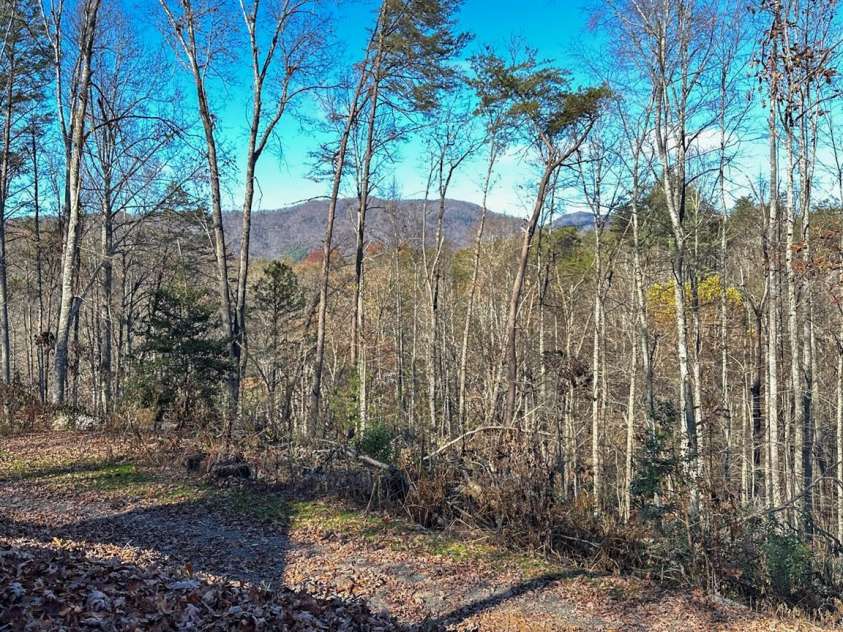 383 Blue Mist Mountain Road, Whittier, NC 28789.  MLS# CAR4199565, YatesRealty ID 9337. 