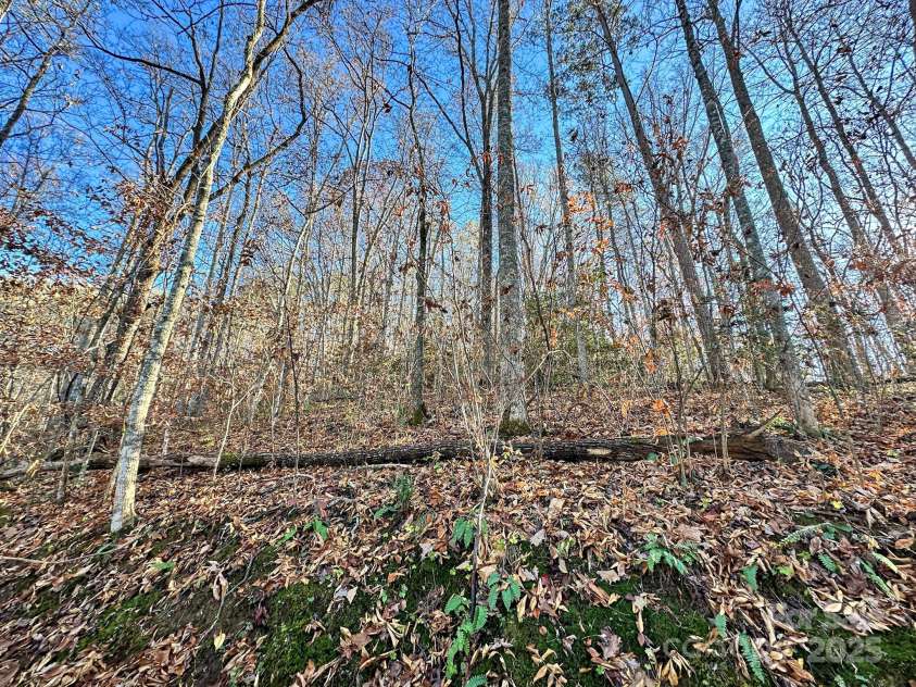 383 Blue Mist Mountain Road, Whittier, NC 28789.  MLS# CAR4199565, YatesRealty ID 9337. 