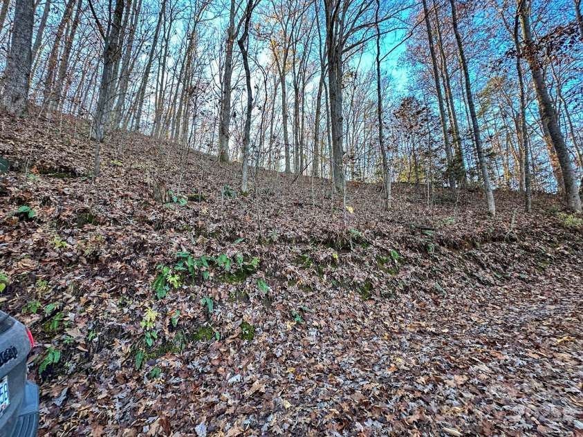 383 Blue Mist Mountain Road, Whittier, NC 28789.  MLS# CAR4199565, YatesRealty ID 9337. 