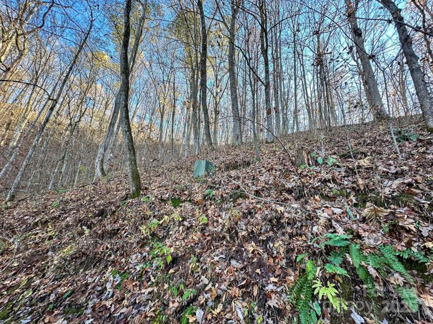 383 Blue Mist Mountain Road, Whittier, NC 28789.  MLS# CAR4199565, YatesRealty ID 9337. Approx end of lot 22