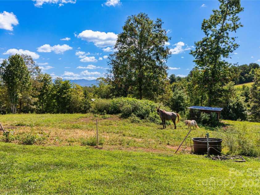 653 Mag Sluder Road, Alexander, NC 28701.  MLS# CAR4299475, YatesRealty ID 934. Front Pasture with Shed