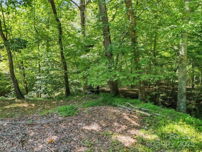 282 Reagan Lane, Bostic, NC 28018.  MLS# CAR4163019, YatesRealty ID 9355. 