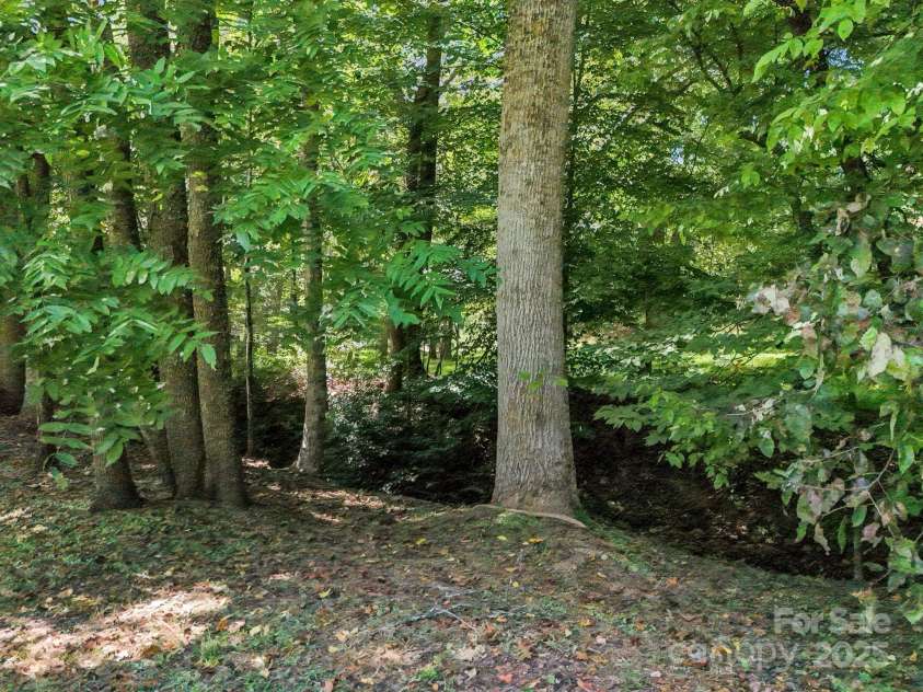 282 Reagan Lane, Bostic, NC 28018.  MLS# CAR4163019, YatesRealty ID 9355. 