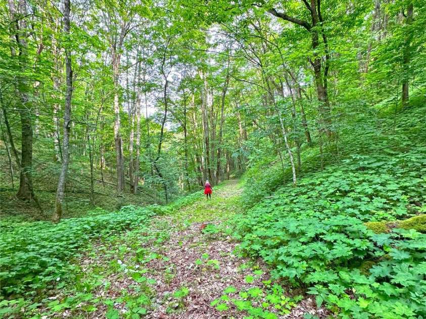 1147 Deerfield Drive, Hot Springs, NC 28743.  MLS# CAR4237237, YatesRealty ID 9428. 