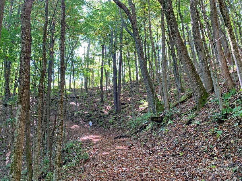 1147 Deerfield Drive, Hot Springs, NC 28743.  MLS# CAR4237237, YatesRealty ID 9428. 