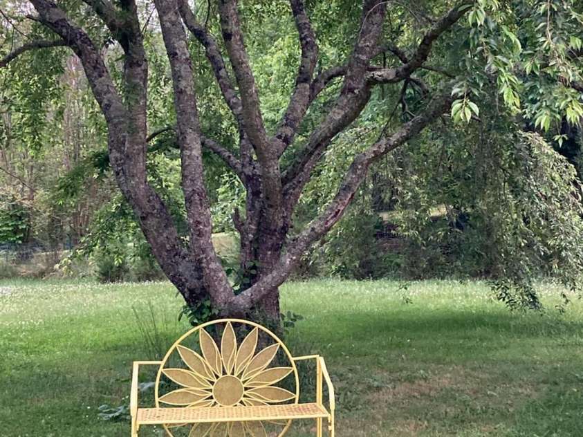 14 Woods Drive, Fairview, NC 28730.  MLS# CAR4223729, YatesRealty ID 9429. Chill under the beautiful shade tree.