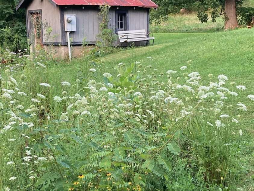 14 Woods Drive, Fairview, NC 28730.  MLS# CAR4223729, YatesRealty ID 9429. Wildflowers by the well house.