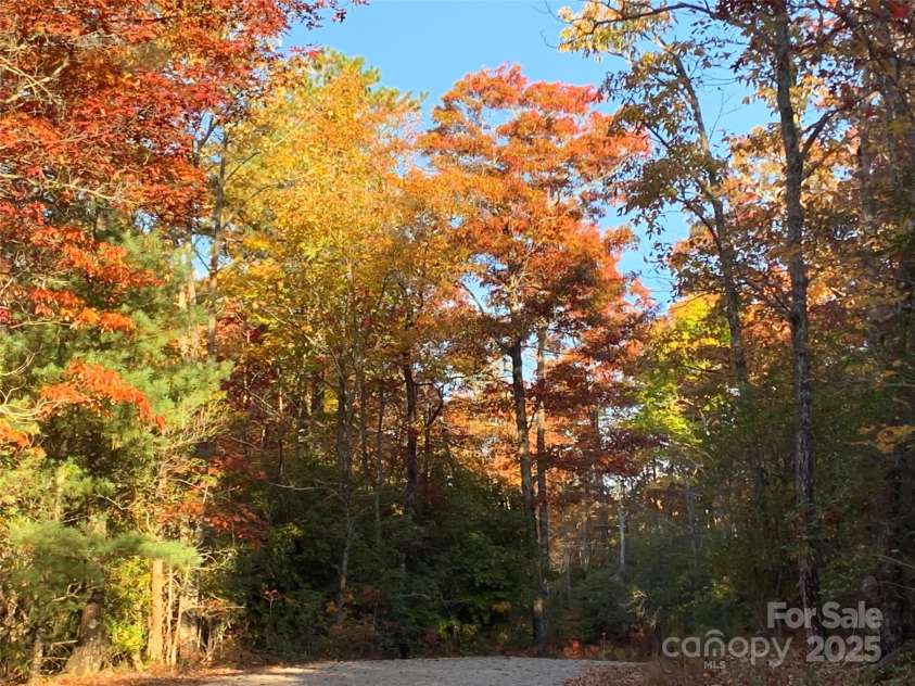 355 Doghobble Road, Lake Toxaway, NC 28747.  MLS# CAR4227971, YatesRealty ID 9436. 
