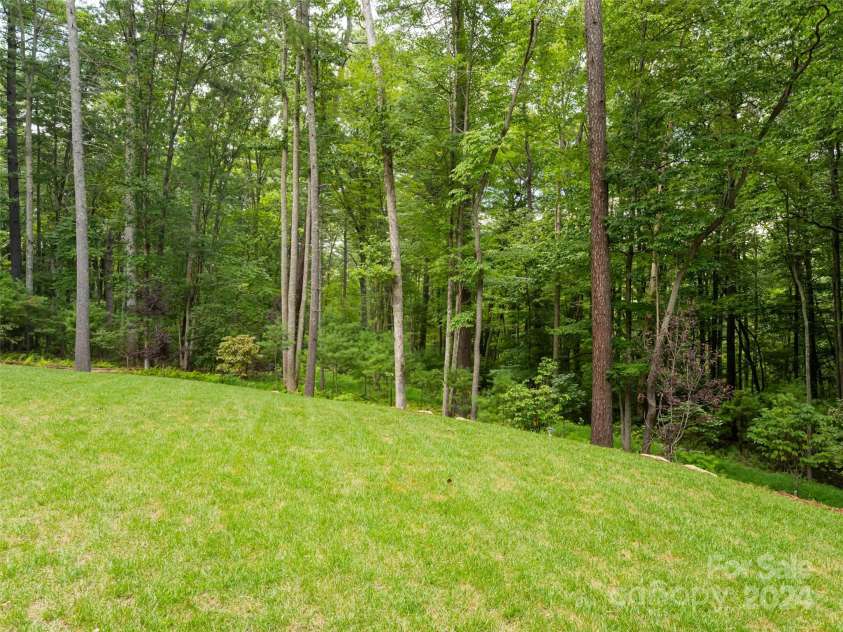 224 Fern Grove Court, Asheville, NC 28803.  MLS# CAR4173009, YatesRealty ID 945. Level Rear Yard Space