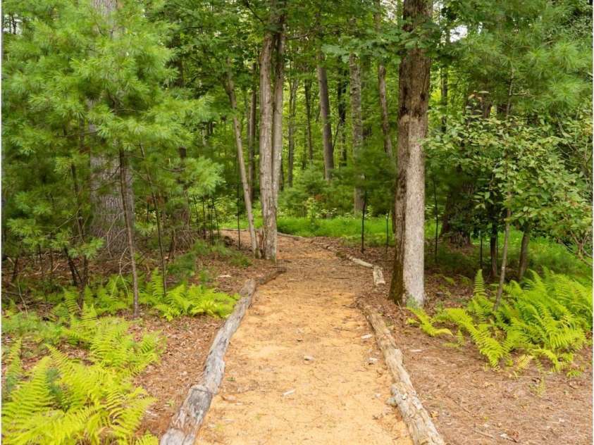 224 Fern Grove Court, Asheville, NC 28803.  MLS# CAR4173009, YatesRealty ID 945. Private Path to the Ramble Walking Trail