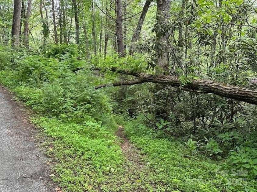 63 Apple Bee Road, Brevard, NC 28712.  MLS# CAR4271772, YatesRealty ID 95. 