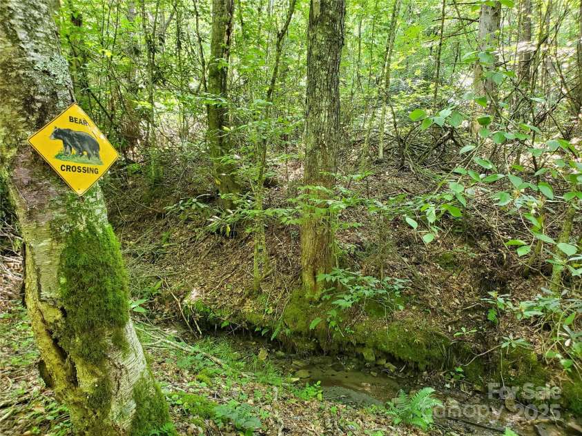 5023 Elk Park Highway, Elk Park, NC 28622.  MLS# CAR4326452, YatesRealty ID 950. 