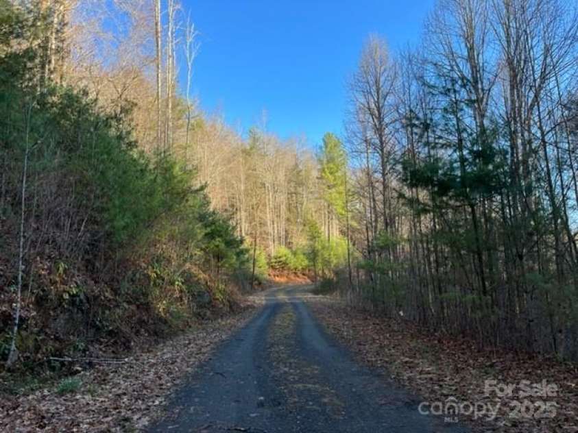Lot 7 Legacy Drive, Fleetwood, NC 28626.  MLS# CAR4253802, YatesRealty ID 9528. Community Roadway