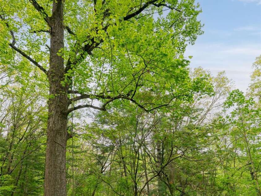 25 Coal Creek Lane, Weaverville, NC 28787.  MLS# CAR4251117, YatesRealty ID 9571. 