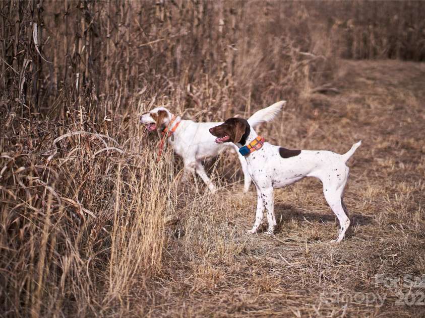 229 Joseph Kershaw Road, Eastover, SC 29044.  MLS# CAR4122309, YatesRealty ID 958. Many outdoor activities and opportunities including hunting, hiking, ATV's and fishing