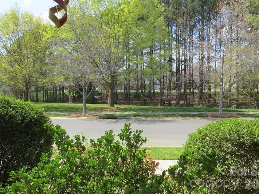 8500 Willow Branch Drive, Waxhaw, NC 28173.  MLS# CAR4360850, YatesRealty ID 9625. Your view each day while sitting on your covered front porch