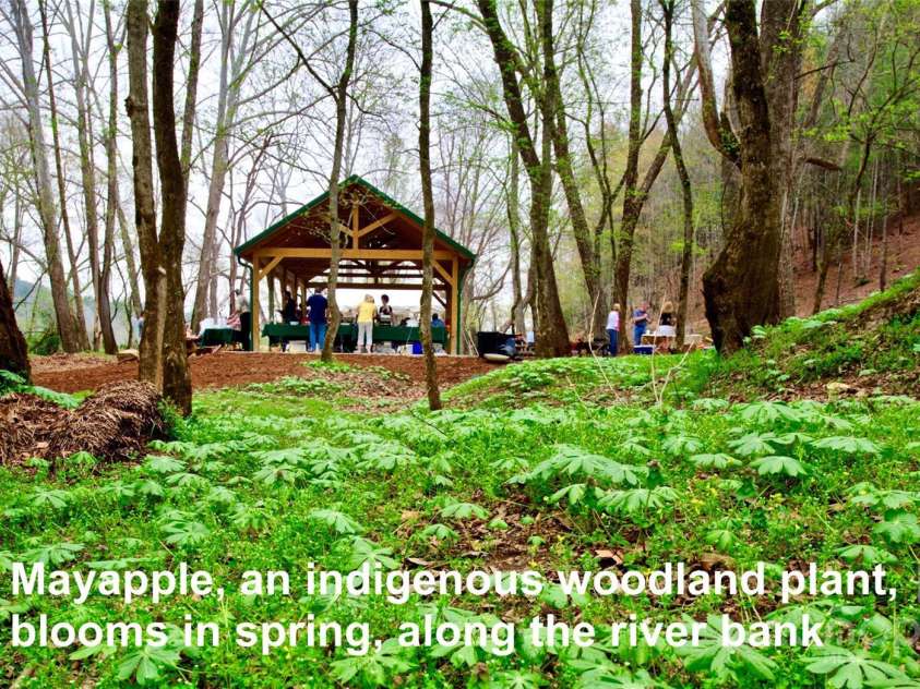 6033 Low Country Road, Lenoir, NC 28645.  MLS# CAR4233003, YatesRealty ID 9627. 