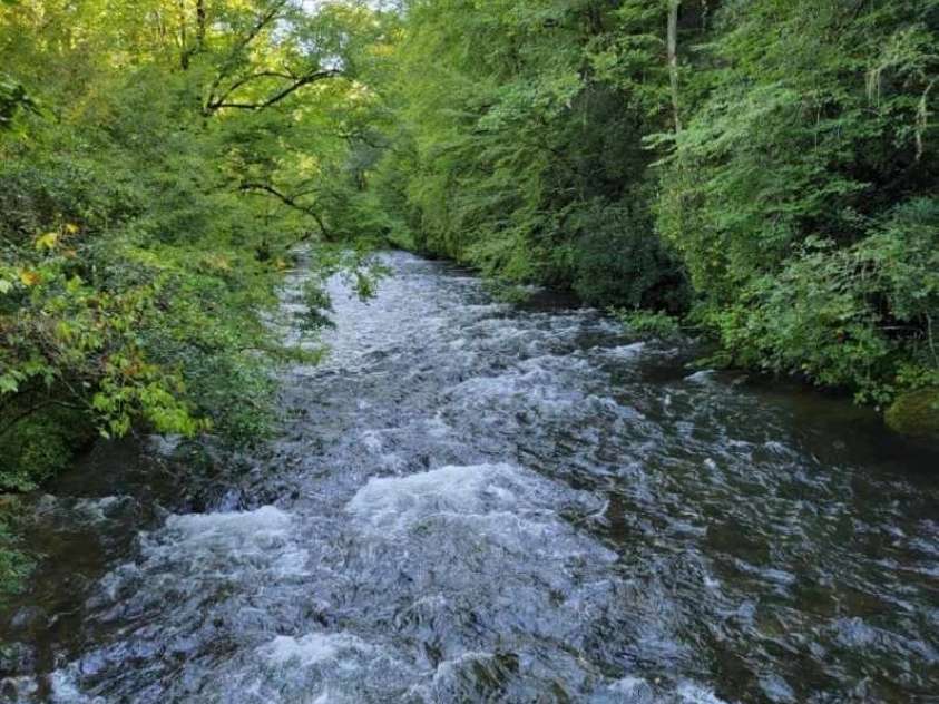 81 Deep Creek Cemetery Road, Bryson City, NC 28713.  MLS# CAR4224937, YatesRealty ID 9679. Deep Creek